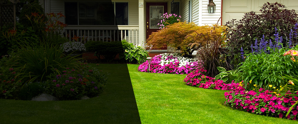 Foley Landscapers
