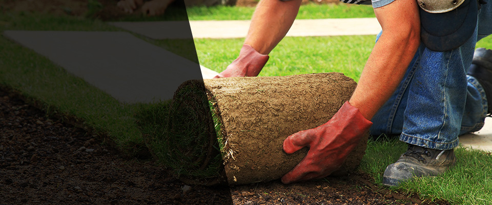 Foley Landscapers